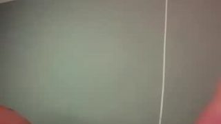 feistygingee