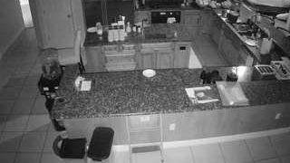 voyeurcam-brandi-love-sizzle