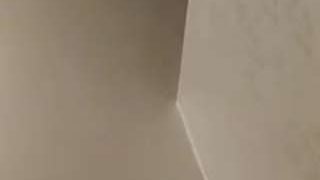 hsany1
