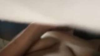sezybutterflies