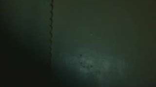 chocooebony