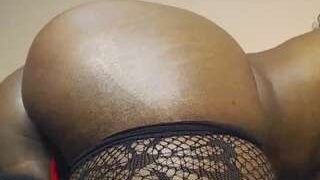 glazedbunzz