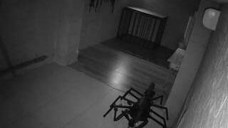 voyeurcam-jb-domination-1