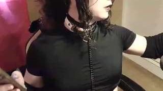 stefisgirlnow