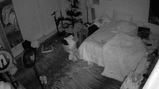 voyeurcam-hornyhostel-02