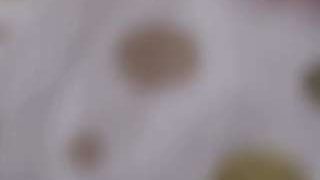 focusdick2