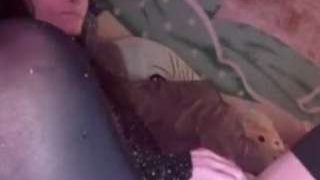 kristylee1