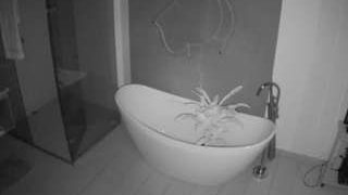 voyeurcam-casa-salsa-bathroom-5
