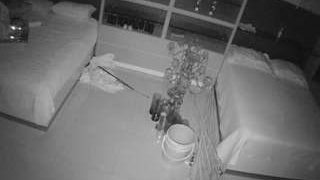 voyeurcam-casa-salsa-versus-room