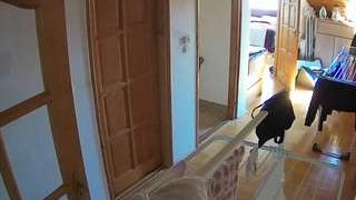 voyeurcam-julmodels-hall-2nd